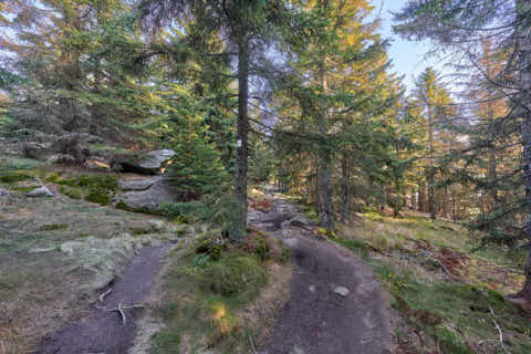 Gemeinde Neureichenau Landkreis Freyung-Grafenau Plöckenstein (Dirschl Johann) Deutschland FRG